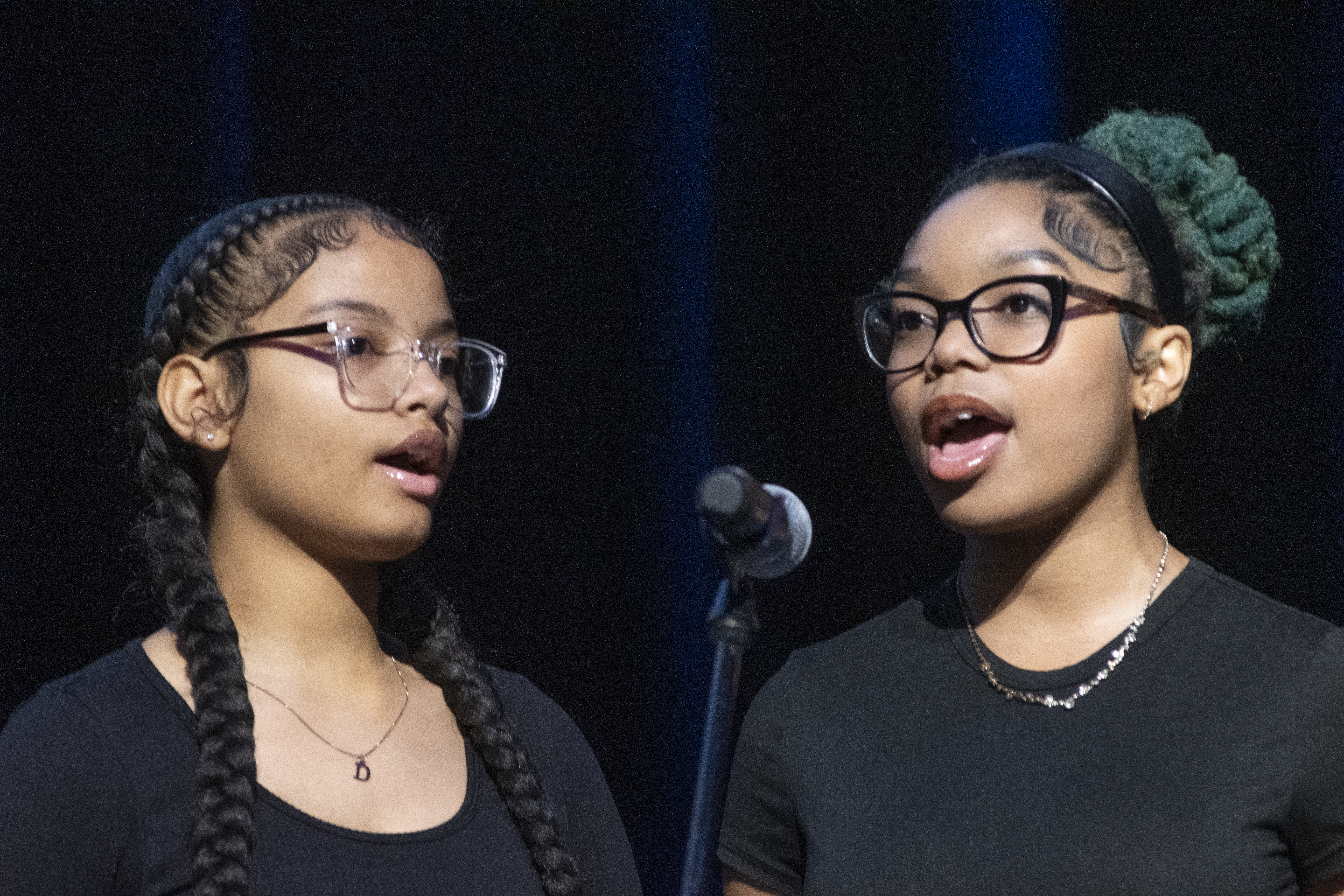 MLK Celebration singers from the choir